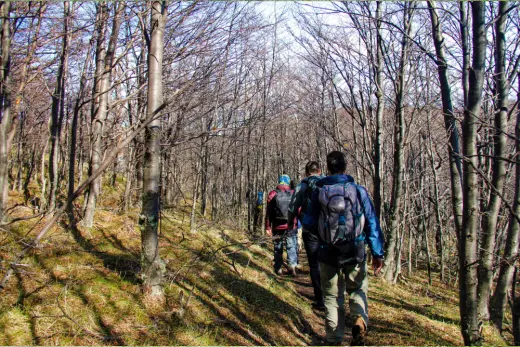 Excursiones 4
