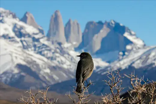Sostenibilidad y ecología 7